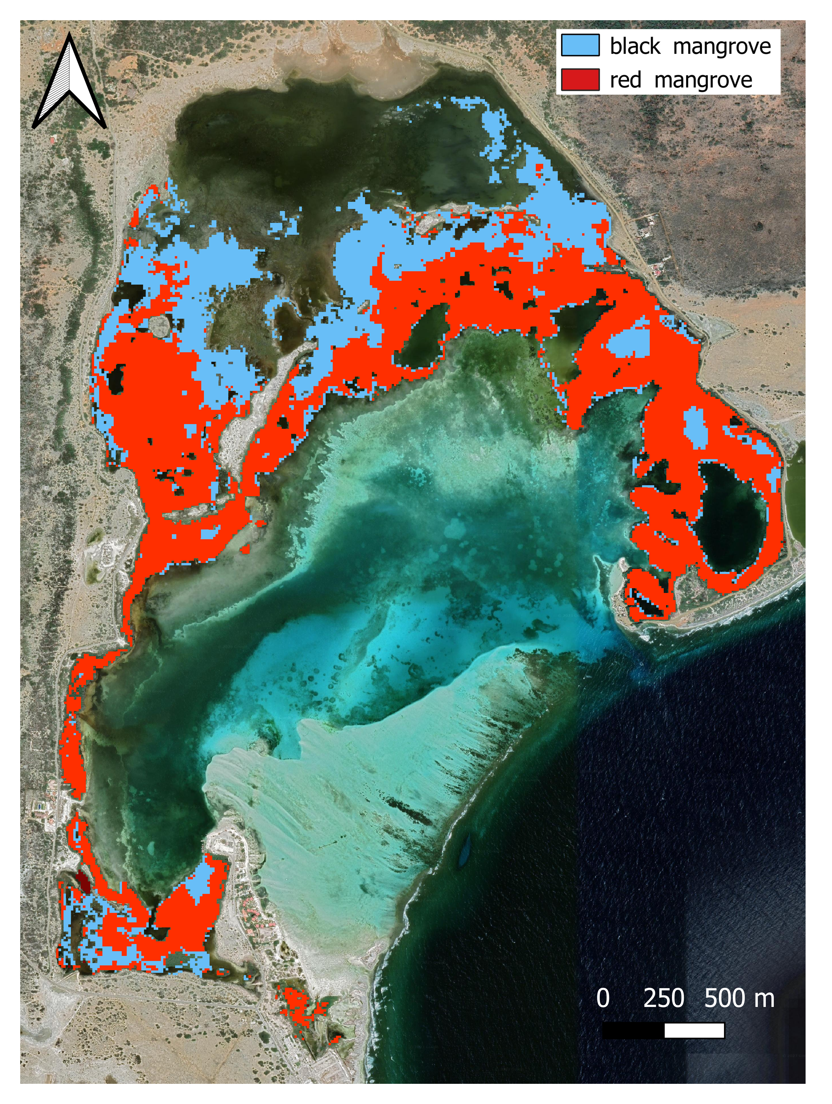 Distribution of the black mangrove